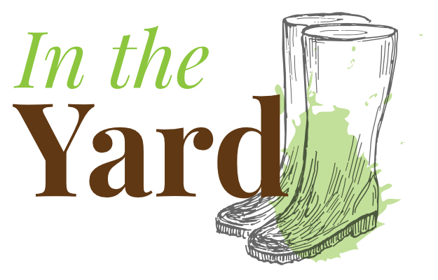 in-the-yard-heading